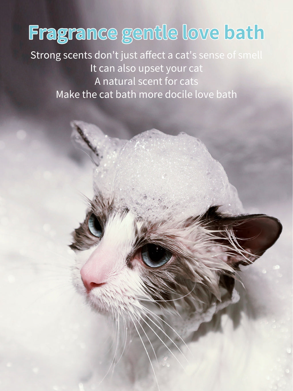 貓咪洗髮精 250毫升