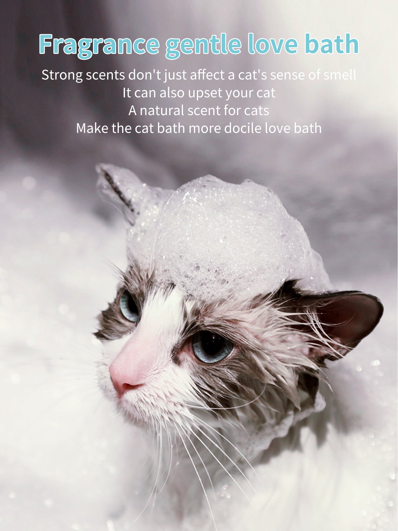 貓咪洗髮精 250毫升