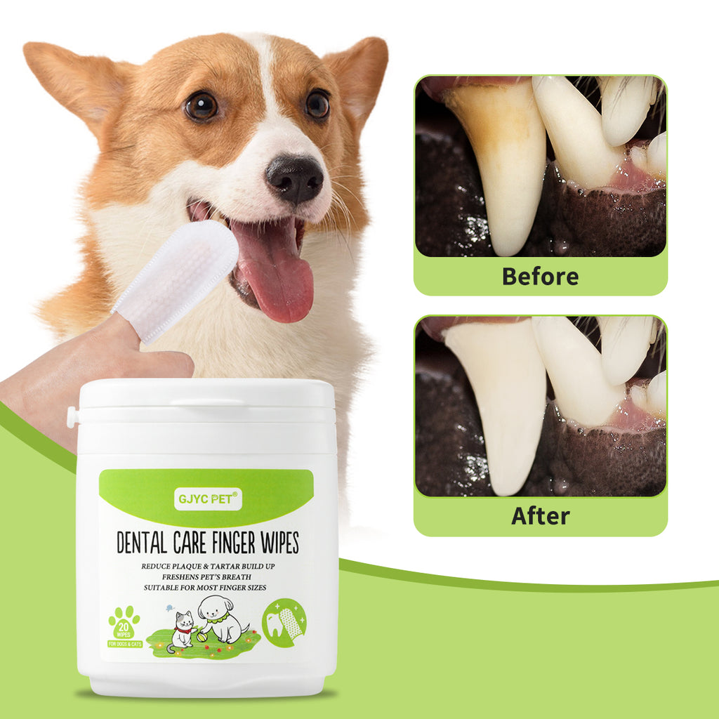 口腔護理指套濕紙巾