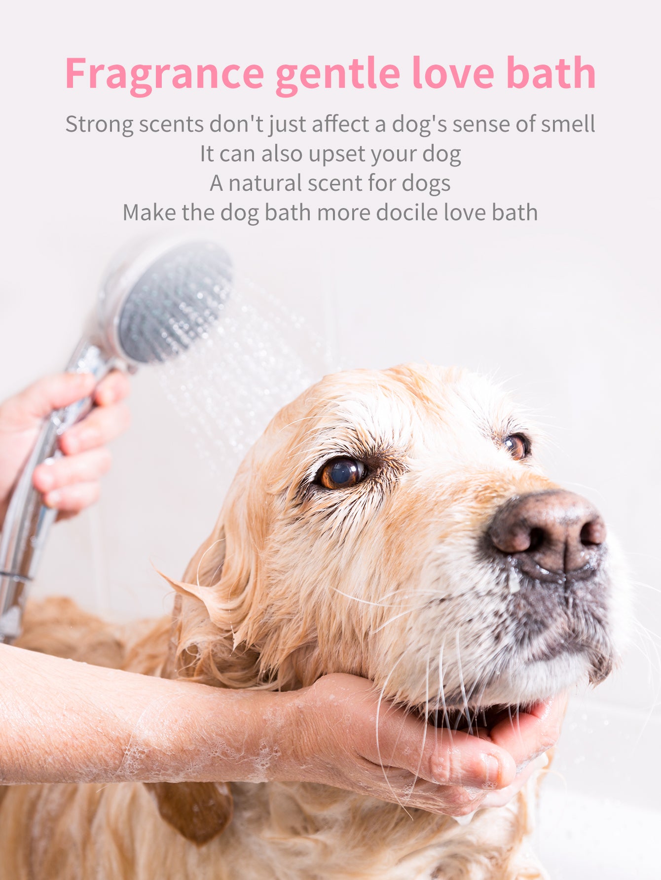 Dog Shampoo 250ml