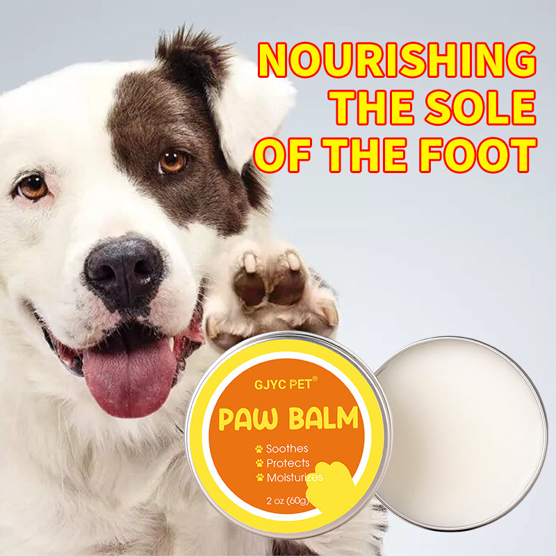 Paw Balm – Natural Paw & Nose Moisturizing Care for Dogs & Cats 60g