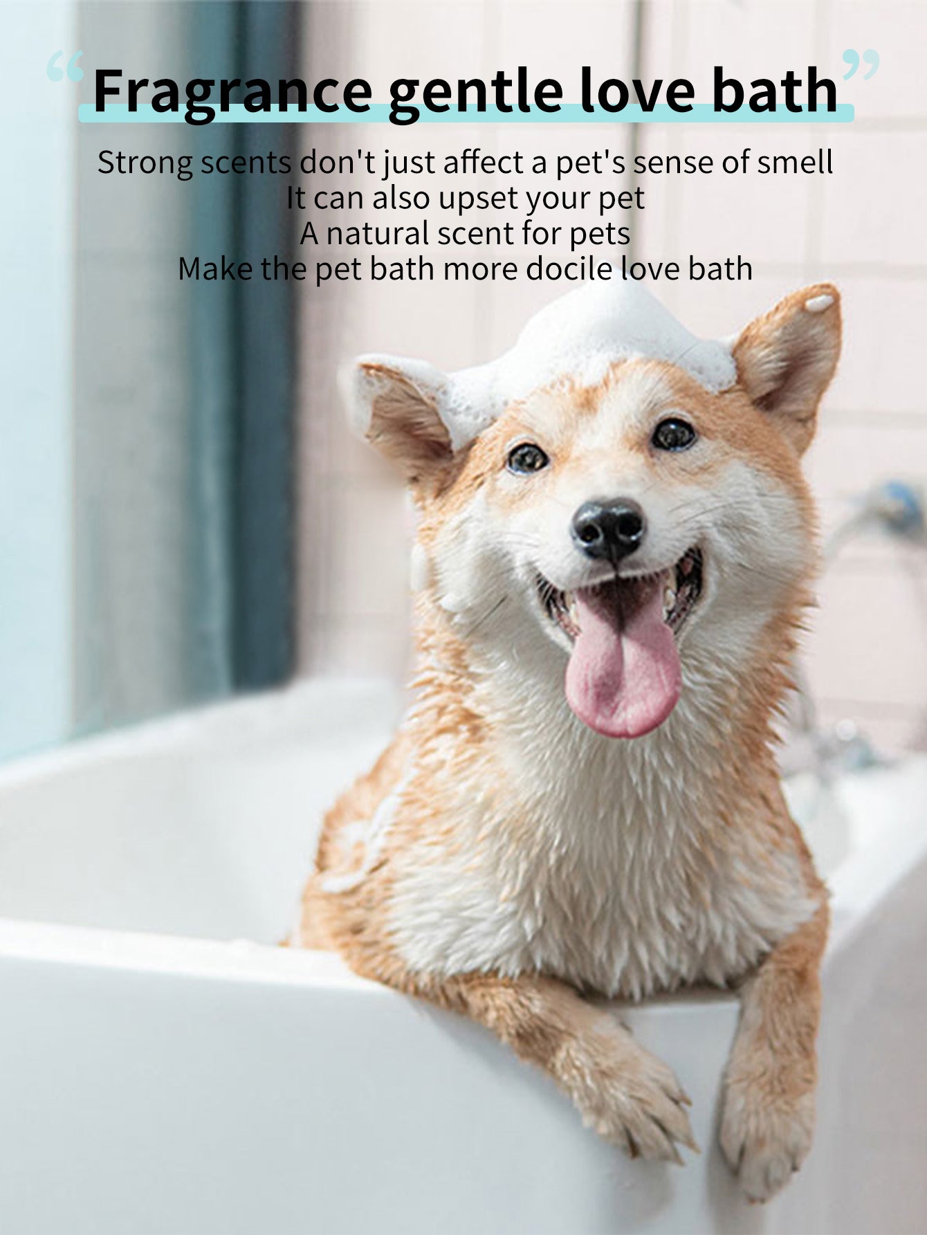 蘆薈椰子寵物洗髮精 500毫升